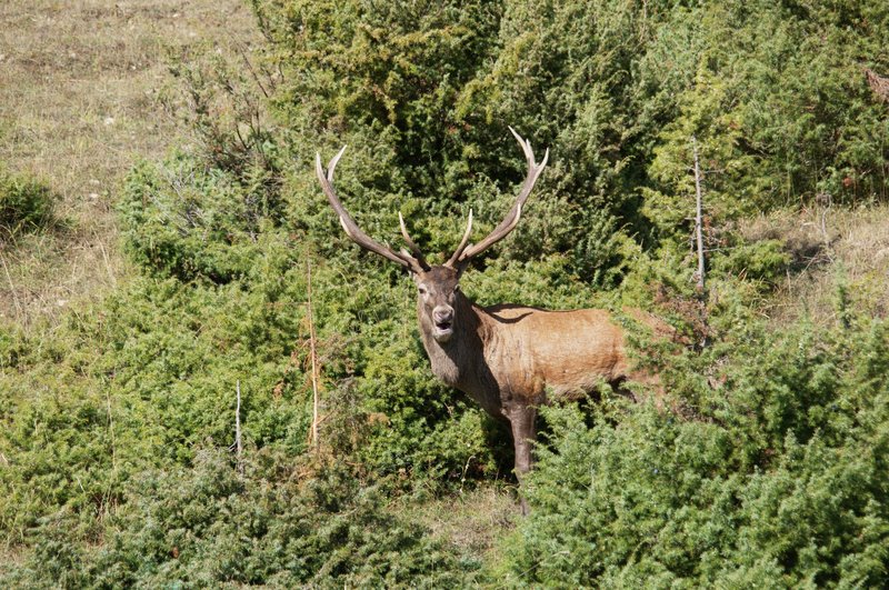 Un''arena molto contesa